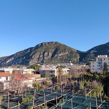 B&B Tina Piano di Sorrento Buitenkant foto